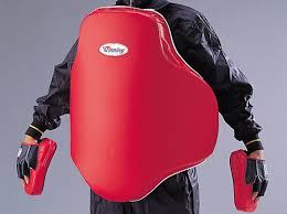 boxing body protectors are the best for protection in boxing